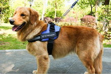 Load image into Gallery viewer, Reflective all-in-one No Pull Dog Harness