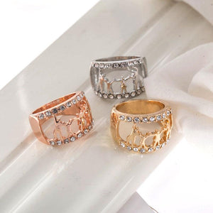 Fashion Accessories - Family Ring