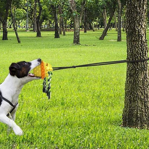 Outdoor Pet Rope Ball