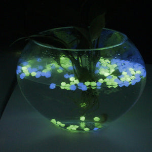 Outdoor Luminous Stones