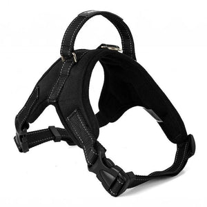 Hirundo® No-Pull Dog Harness, Adjustable Harness for Dogs